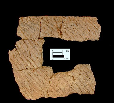 Coulbourn cord-marked mended rim sherds from Wessel, site 18CA21/579.